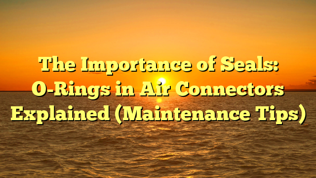 The Importance of Seals: O-Rings in Air Connectors Explained (Maintenance Tips)