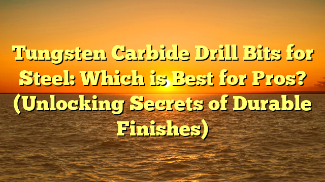 Tungsten Carbide Drill Bits for Steel: Which is Best for Pros? (Unlocking Secrets of Durable Finishes)