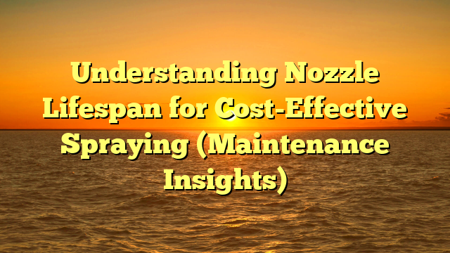 Understanding Nozzle Lifespan for Cost-Effective Spraying (Maintenance Insights)