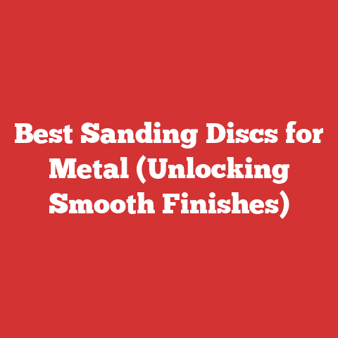 Best Sanding Discs for Metal (Unlocking Smooth Finishes)